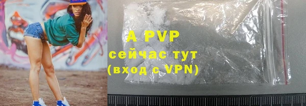 гашик Белокуриха