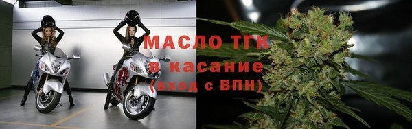 гашик Белокуриха