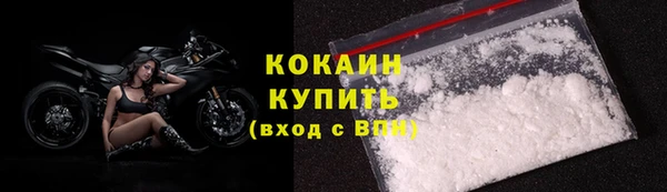 гашик Белокуриха