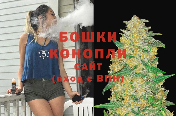 гашик Белокуриха