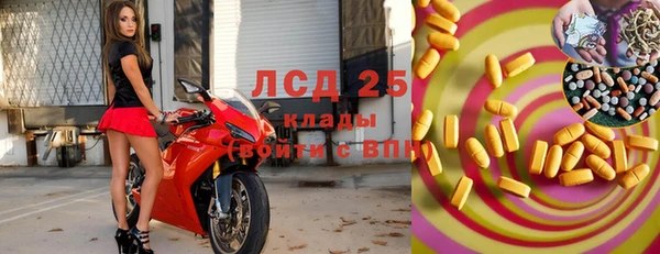 гашик Белокуриха
